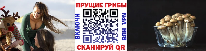Галлюциногенные грибы Psilocybe  Магнитогорск 